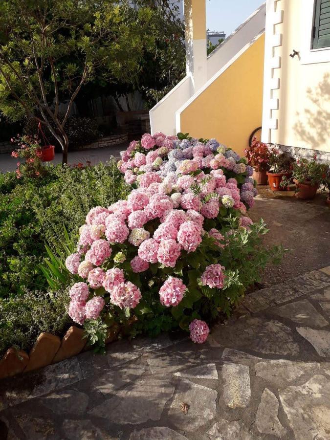 Villa Violeta Ksamil Esterno foto